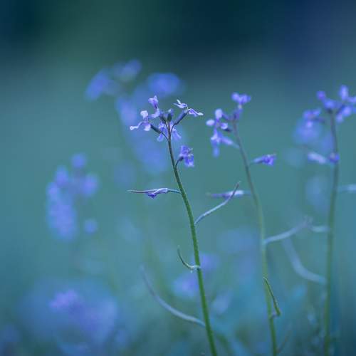 Photo #7972062