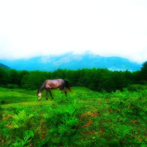 Show the green nature of life