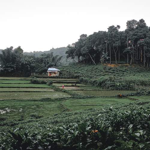 Photo #7972147
