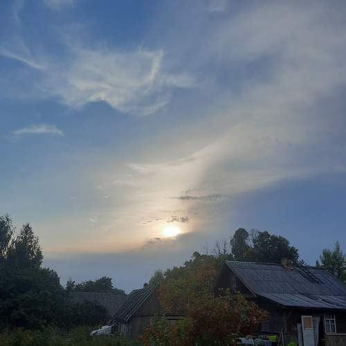 Photo #7972273