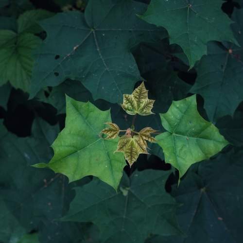 Photo #7972757