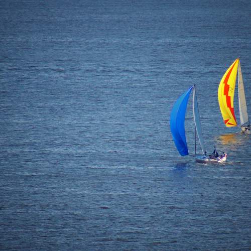 Photo #7972815