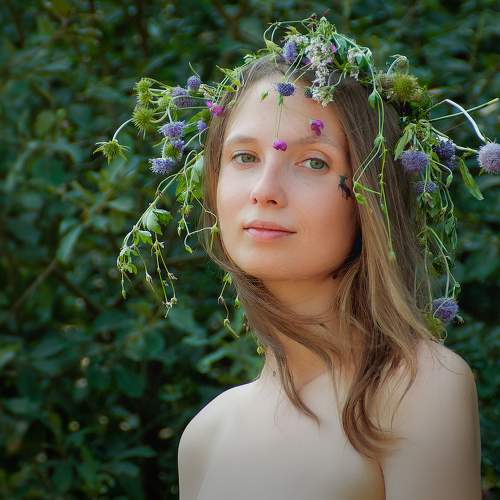 Photo #7973010