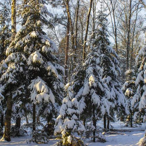 Photo #7973109