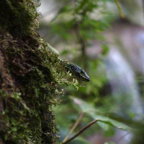 Photo #7973606