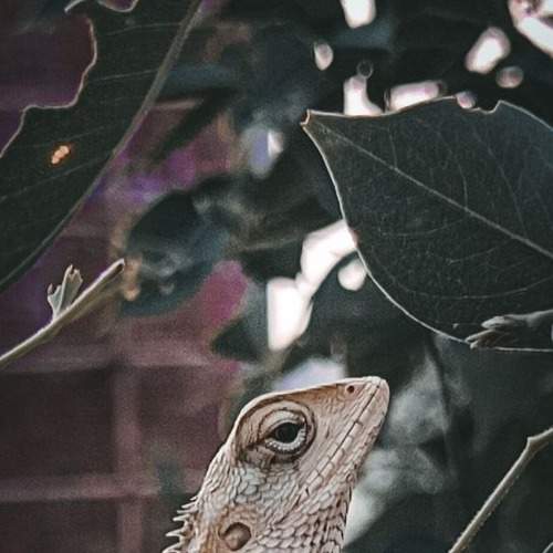 Photo #7973704