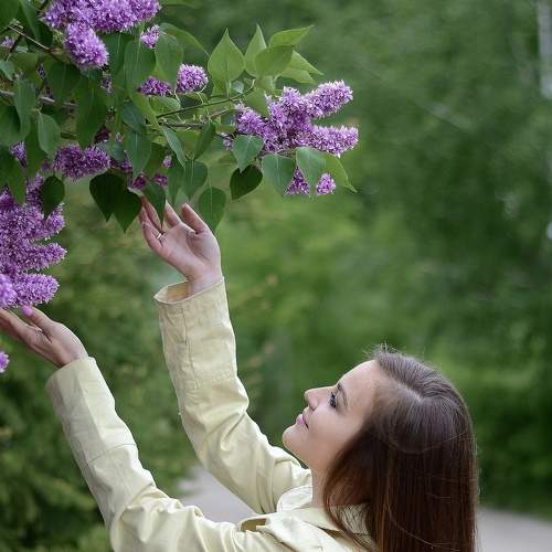 Photo #7974018