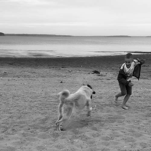Photo #7974396