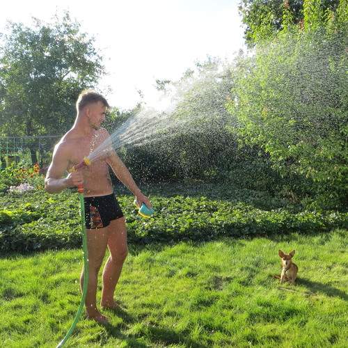Photo #7974919
