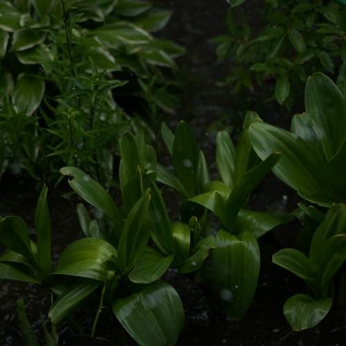 Photo #7974923