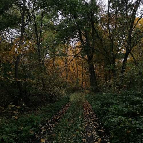 Photo #7974927