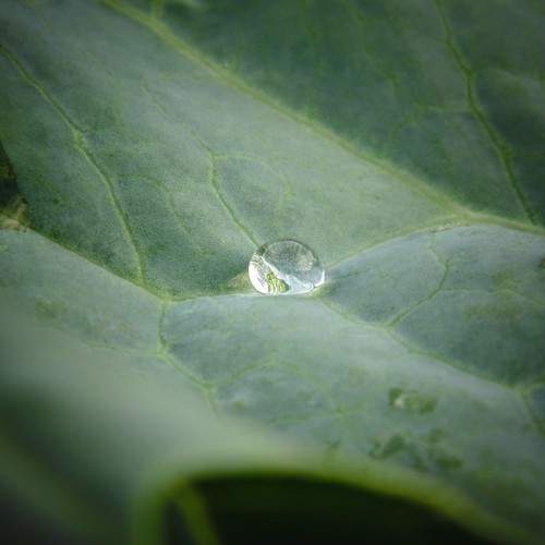 Photo #7974969