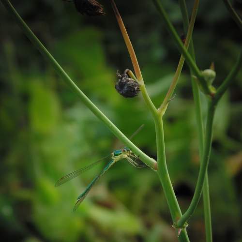 Photo #7974971
