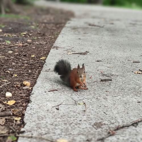 Photo #7975060