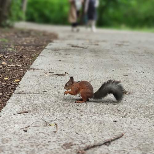Photo #7975067