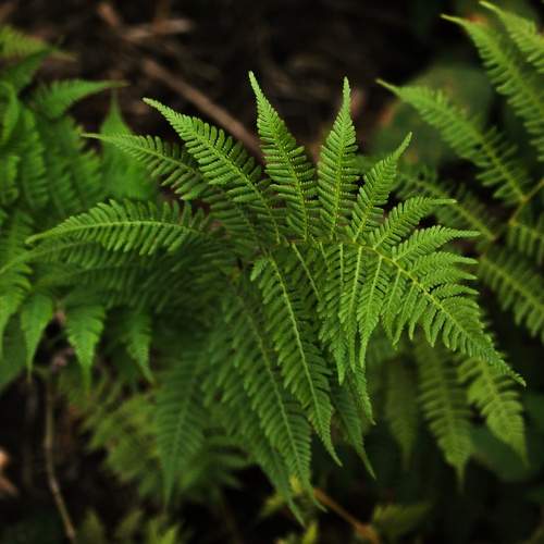 Photo #7975193