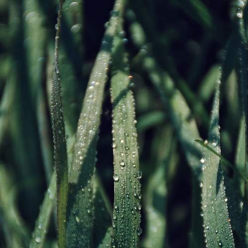 Photo #7975940