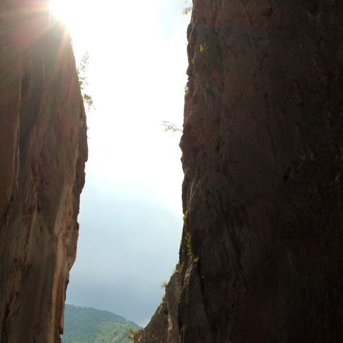 Photo #7976009