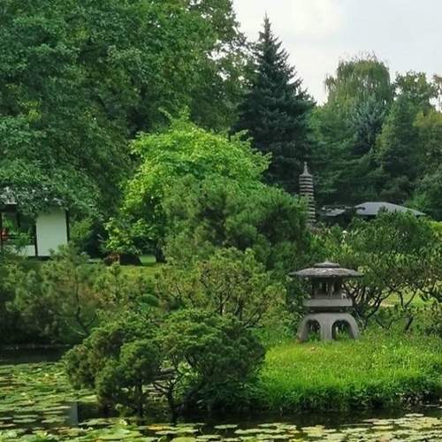 Photo #7976041