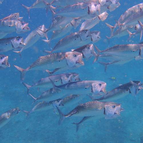 Photo #7976191