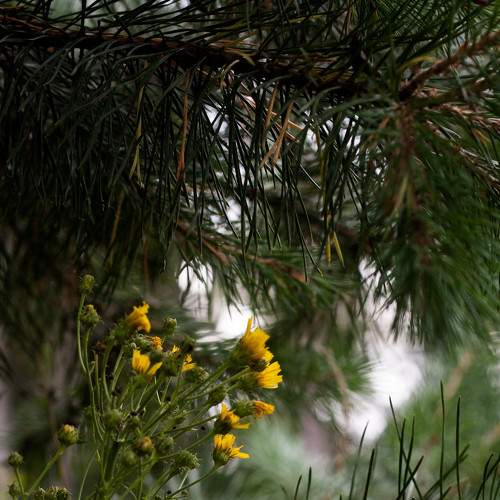 Photo #7976200