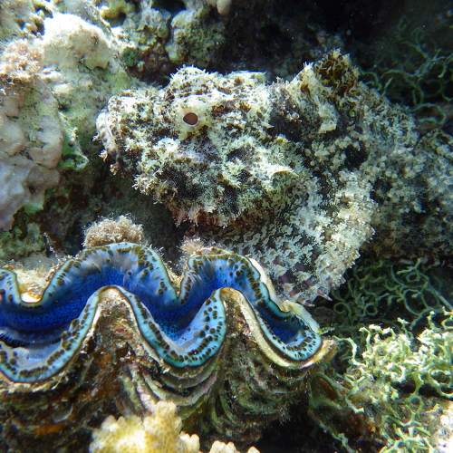 Photo #7976261