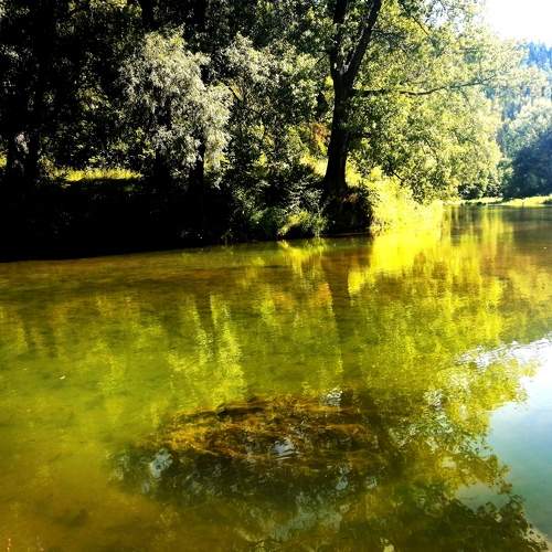 Photo #7976298