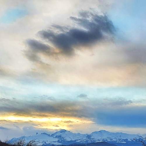 Photo #7976342