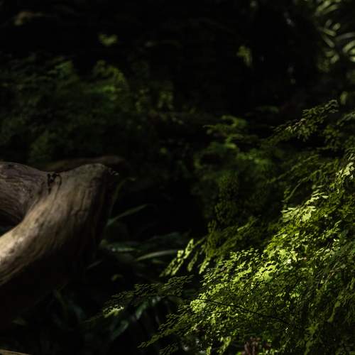 Photo #7976504