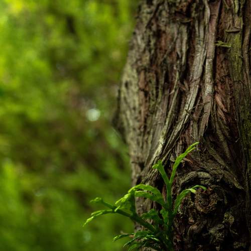 Photo #7976521