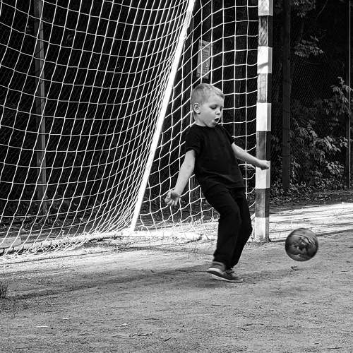 Photo #7976561