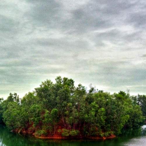 The Mysterious Island