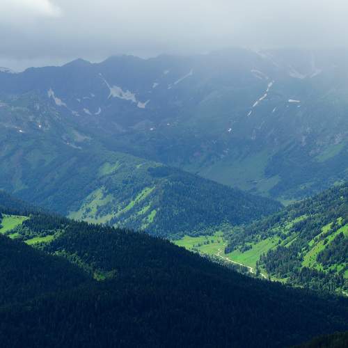 Photo #7976924