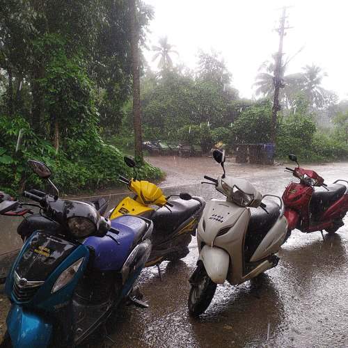Photo #7976994