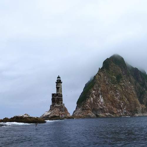 Photo #7977068