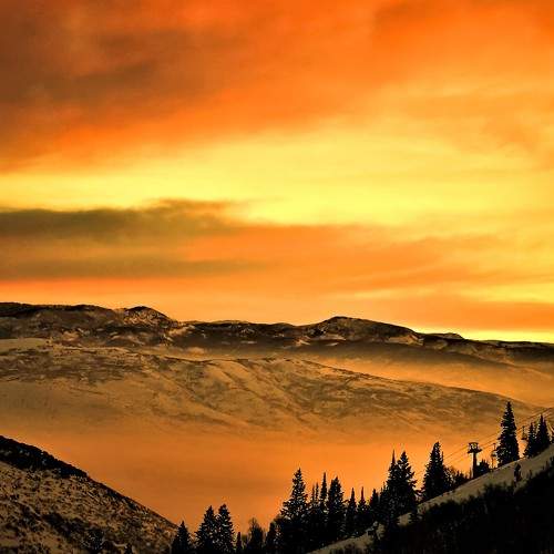 Photo #7977758
