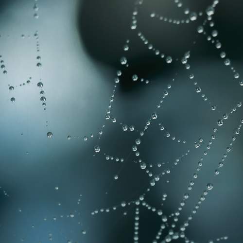 Photo #7977769