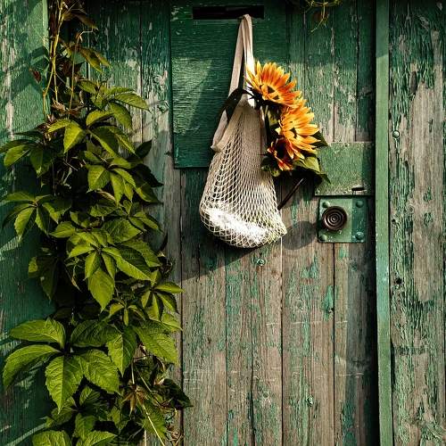 Photo #7977770