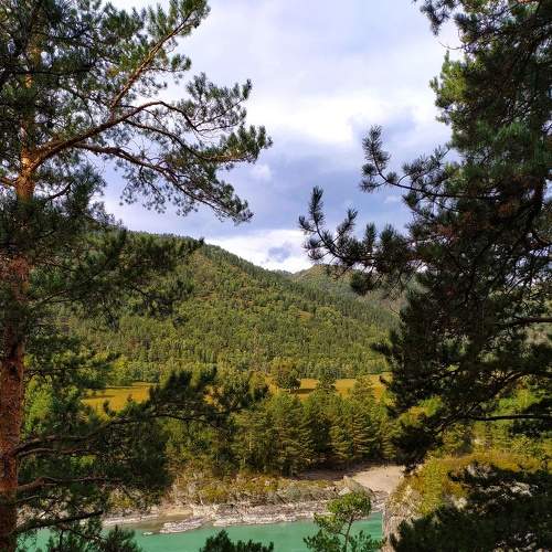Photo #7977771
