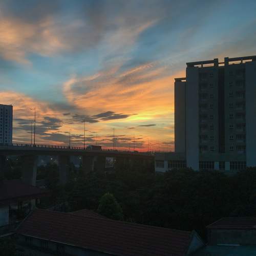 Photo #7977814