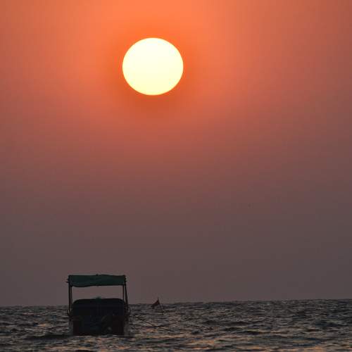 Photo #7978055