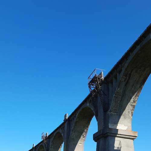 Photo #7978208