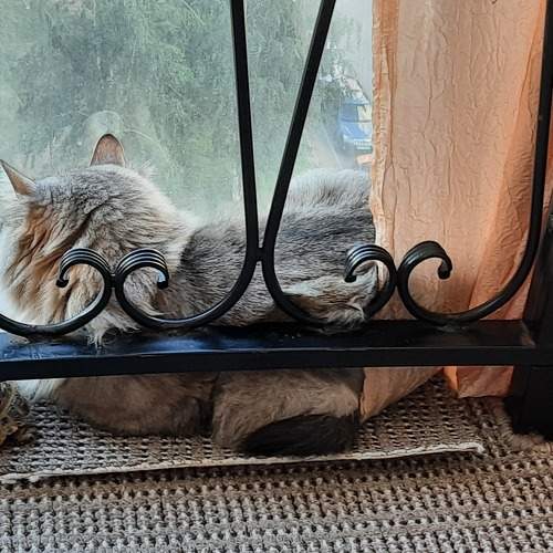 Photo #7978303