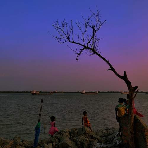 The colours of Nature