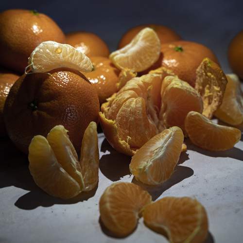 Photo #7978379