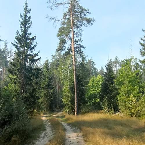Photo #7978508
