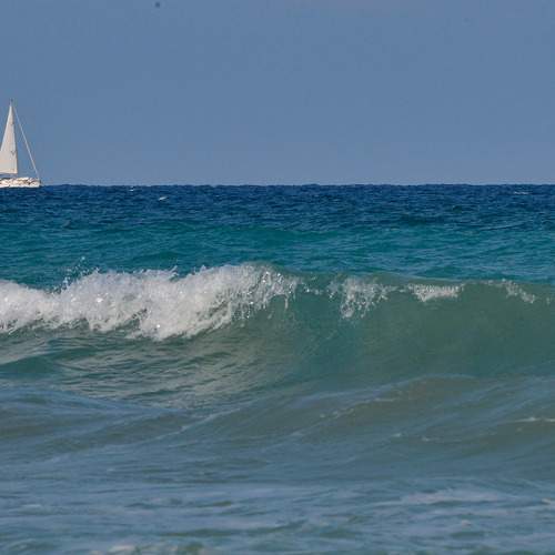 Photo #7978556