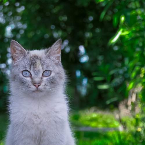 Photo #7978572