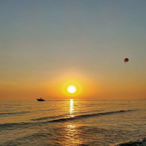 Photo #7980188