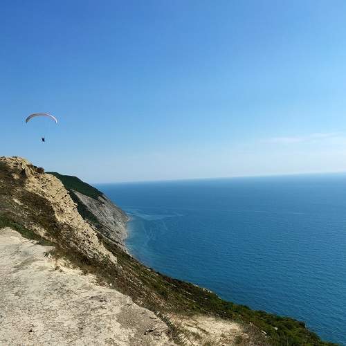 Photo #7980261